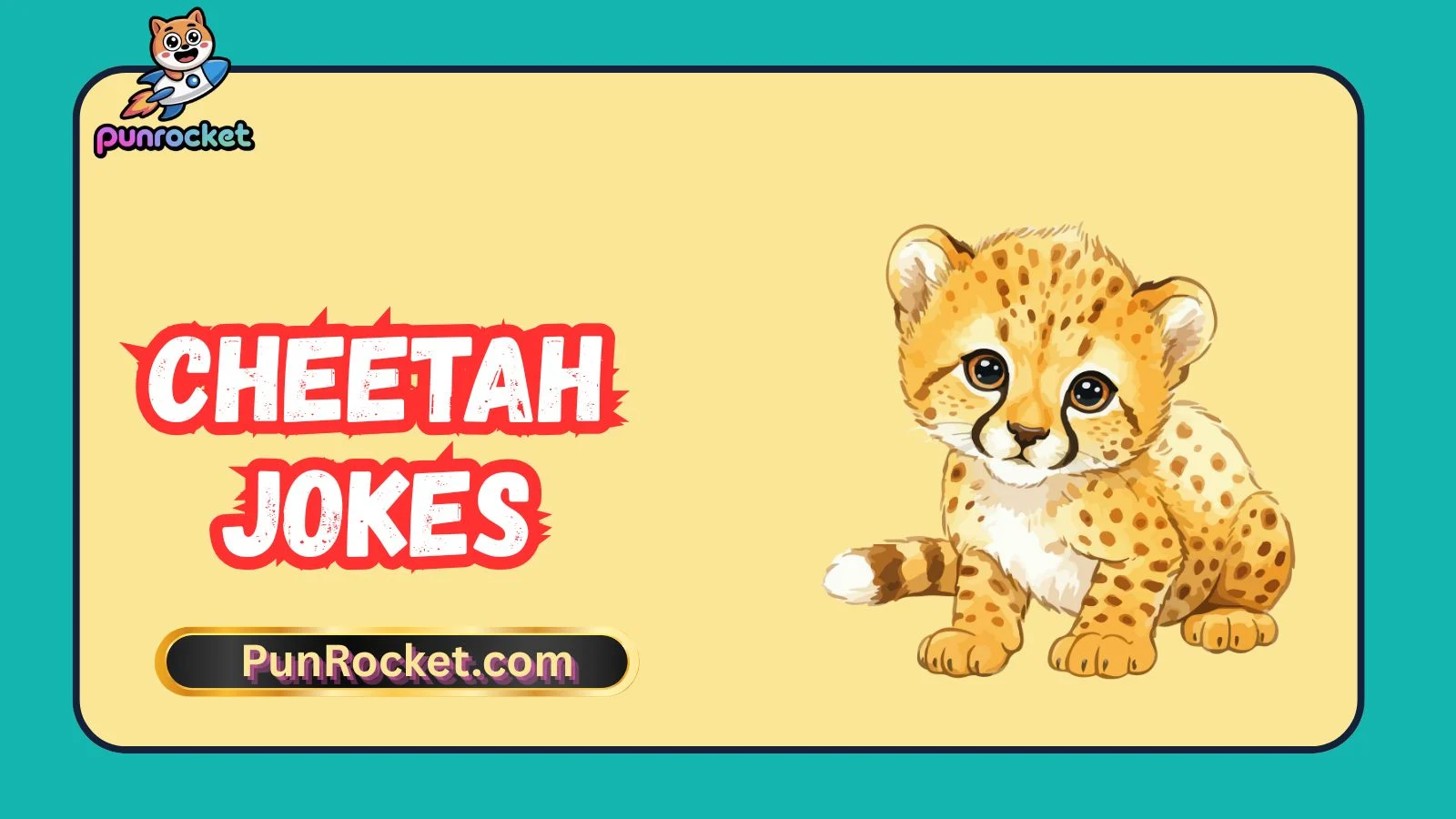 Cheetah Jokes