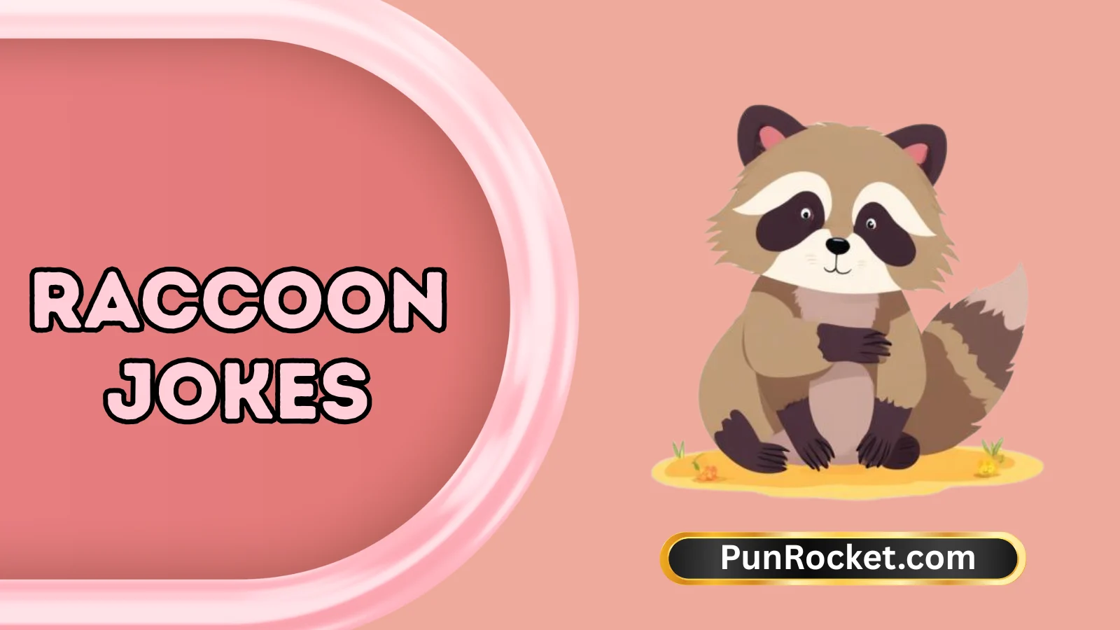 Raccoon Jokes