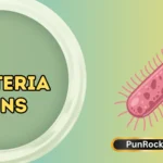 Bacteria Puns
