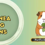 Guinea Pig Puns