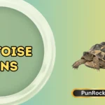 Tortoise Puns