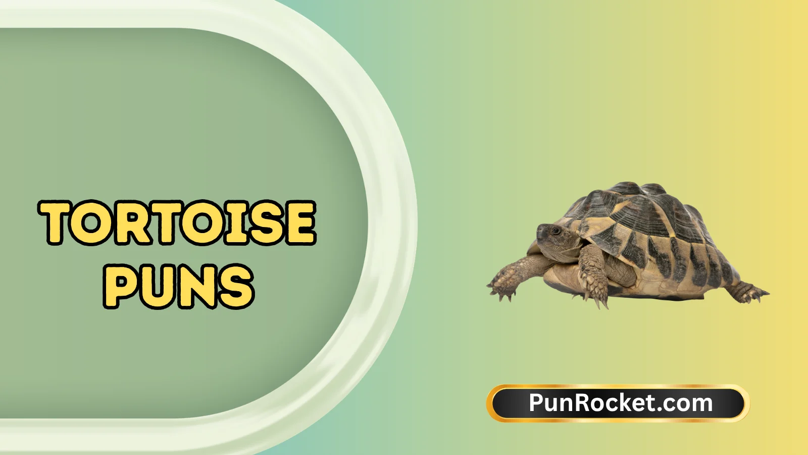 Tortoise Puns