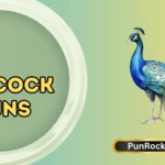 Peacock Puns